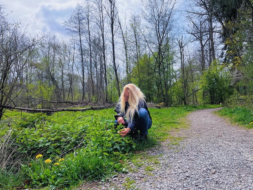 FotoSusanneWaldWildpflanzen